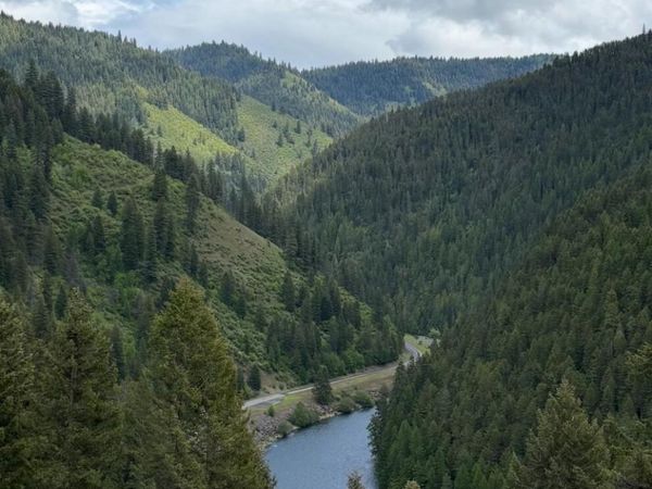 480 Dunn Peak RD, Avery, ID 83802