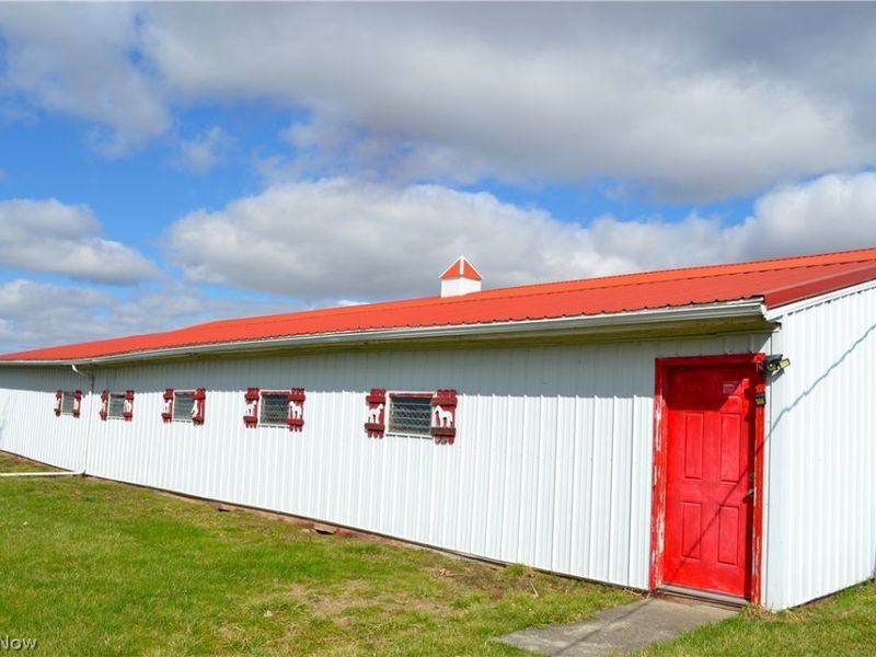 45620 Stewart Road, Sullivan, OH 44880 Photo 33