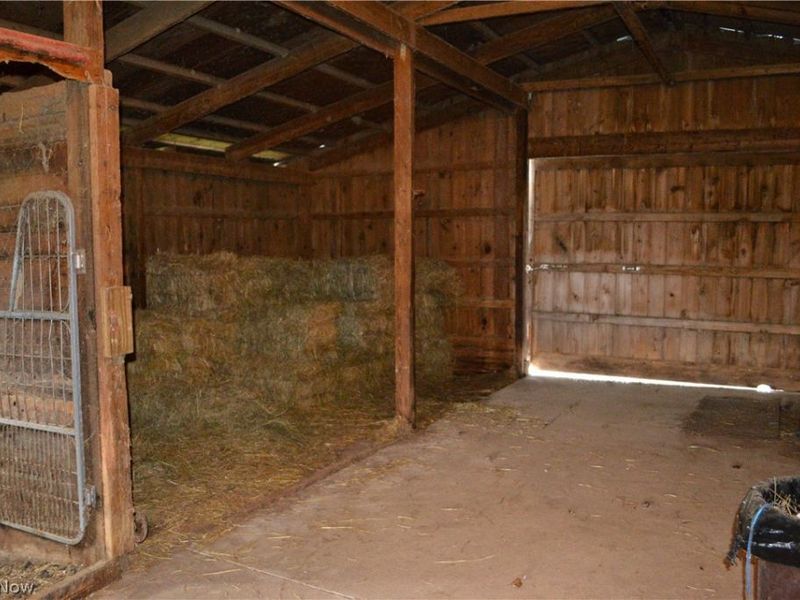 45620 Stewart Road, Sullivan, OH 44880 Photo 43