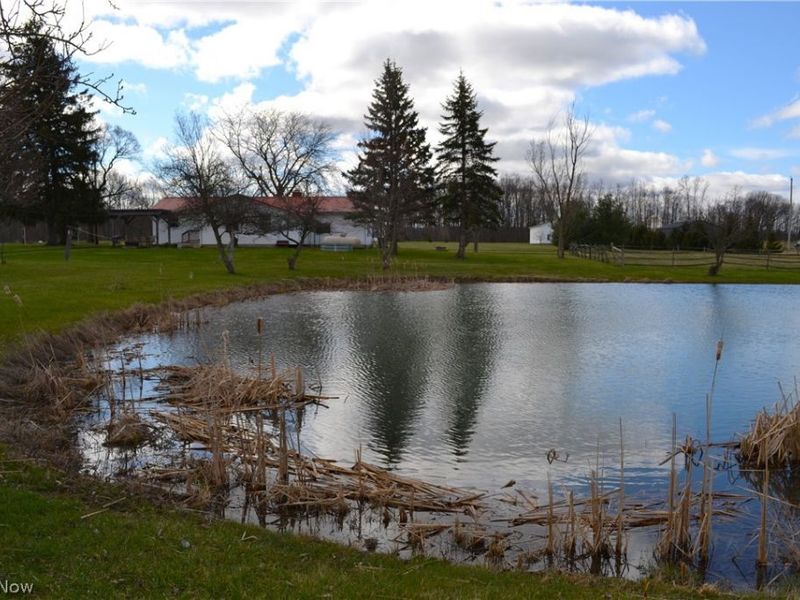 45620 Stewart Road, Sullivan, OH 44880 Photo 44