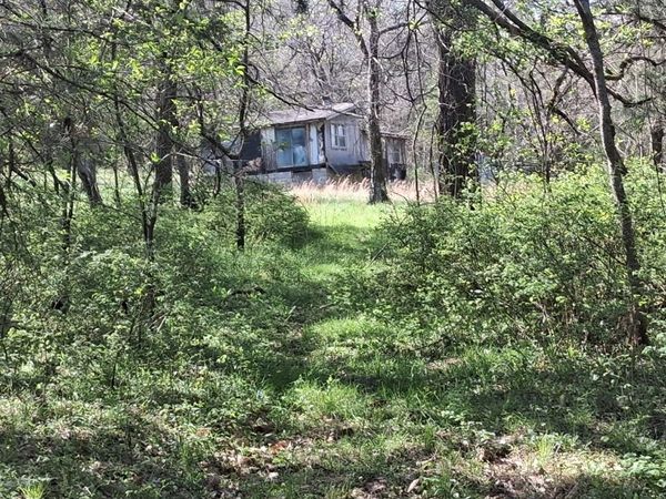 2431 Williams Rd, Cornersville, TN 37047
