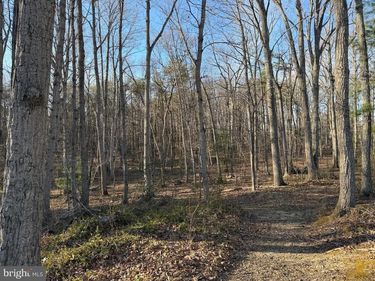 WOODLAND CHURCH ROAD , CULPEPER, VA 22701