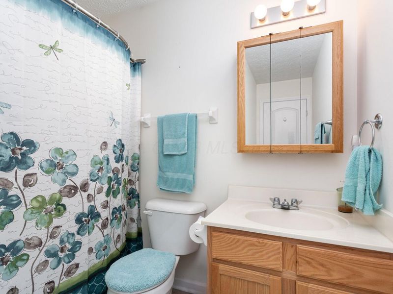 5809 Ivy Branch Drive, Dublin, OH 43016 Photo 19