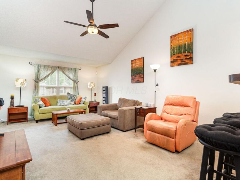 5809 Ivy Branch Drive, Dublin, OH 43016 Photo 4