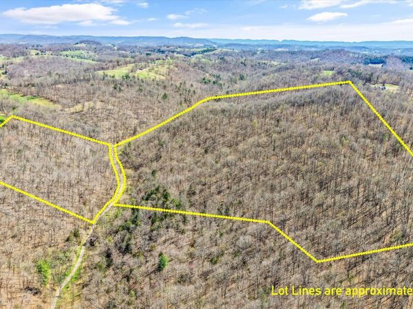 515 Robinson Rd, New Tazewell, TN 37825