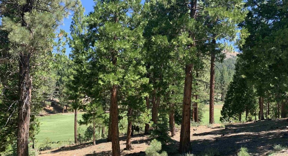 2066 Grizzly Ranch Road, Portola, CA 96122 Photo