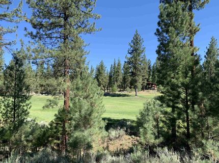 2104 Grizzly Ranch Road, Portola, CA 96122 Photo