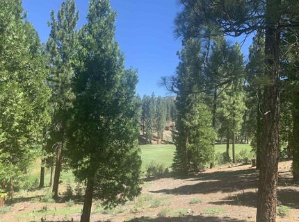 2104 Grizzly Ranch Road, Portola, CA 96122 Photo