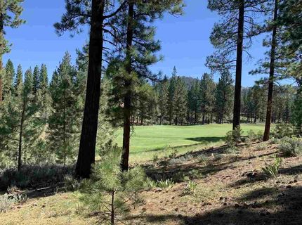 2124 Grizzly Ranch Road, Portola, CA 96122 Photo