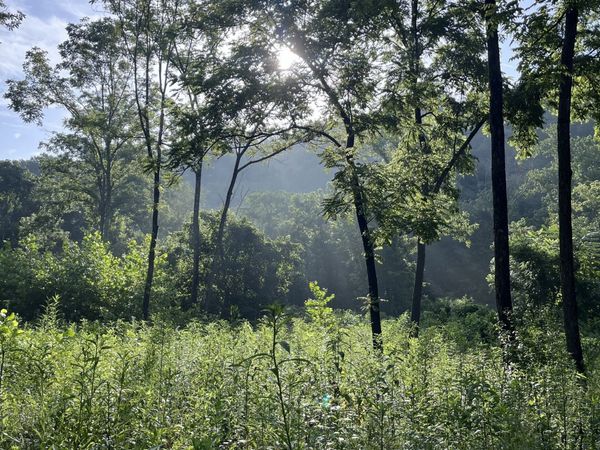 100 Henley Rd, Ashland City, TN 37015