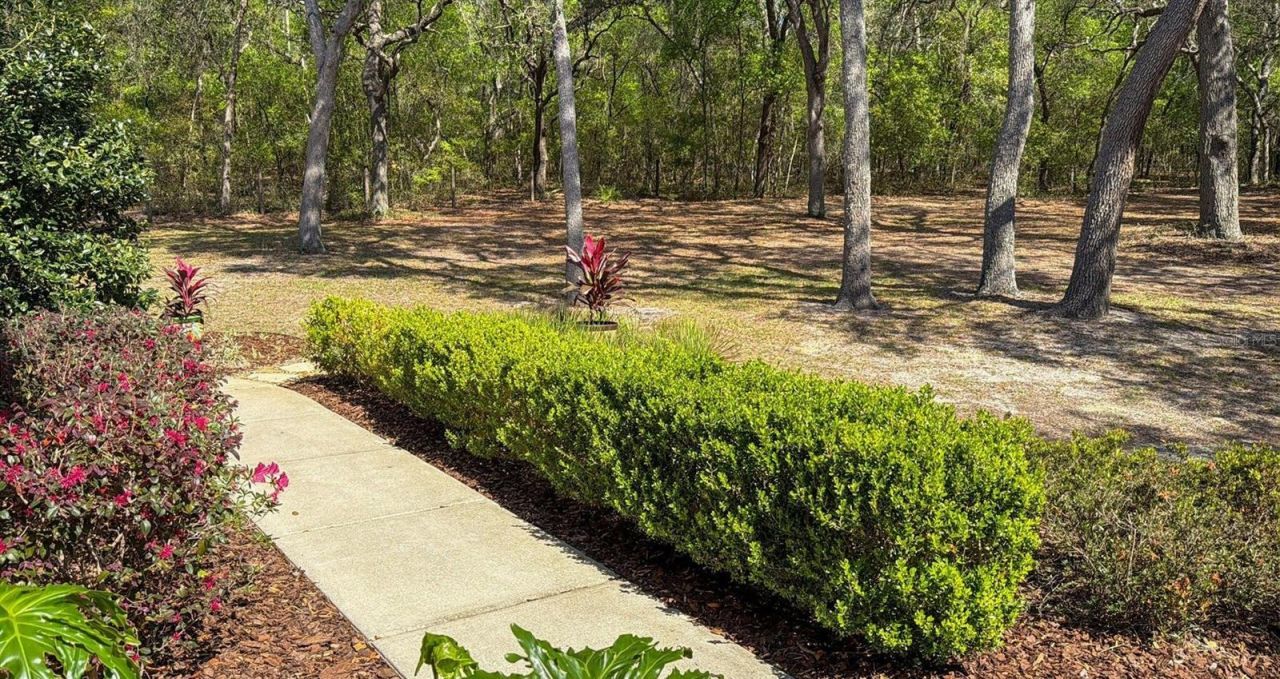 103 Deep Lake Trail , Melrose, FL 32666 Photo