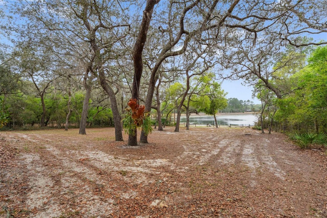 103 Deep Lake Trail , Melrose, FL 32666 Photo