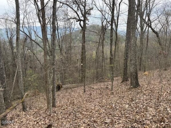 0 Bear Mountain Lane, Sevierville, TN 37876