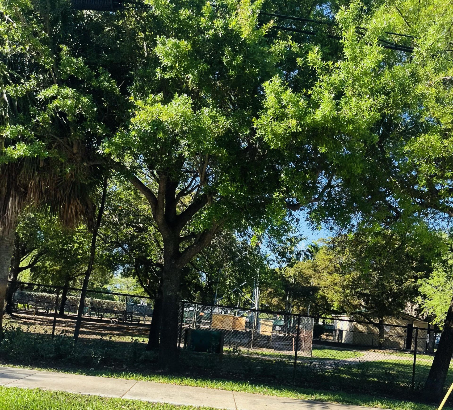 111 Royal Pk Drive, Oakland Park, FL 33309 Photo
