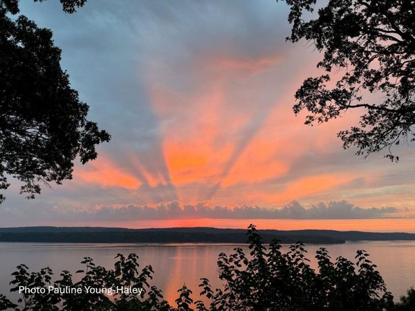 135 SPUMANTE LN, Counce, TN 38326