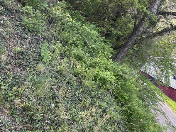 3339 Johnston St, Knoxville, TN 37921