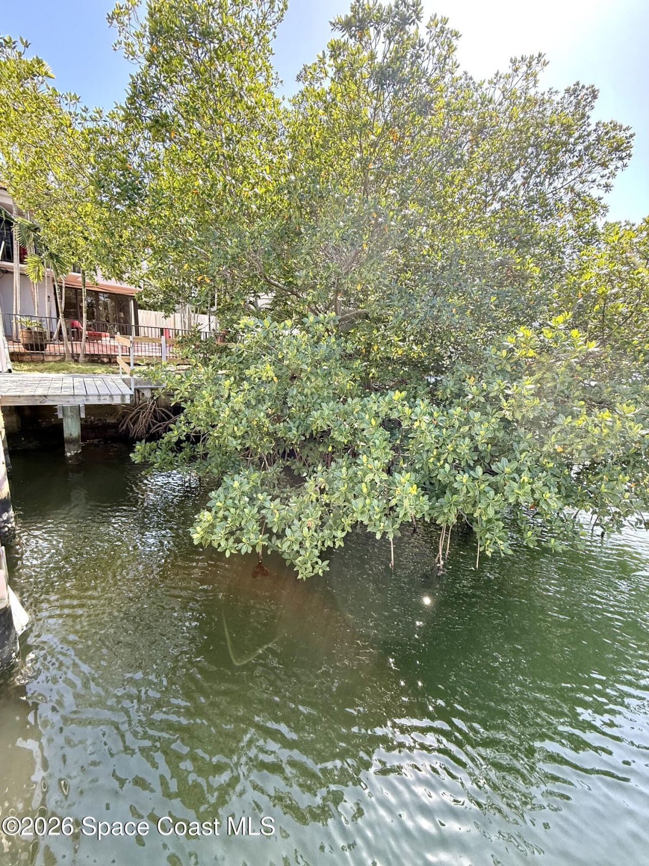 239 Poinciana Island Drive, Unit 409, North Miami Beach, FL 33160 Photo