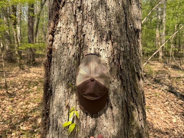 1309 County Road 311 , Enterprise, MS 39330