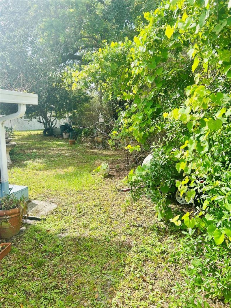3245 Coleus Court, Winter Park, FL 32792 Photo