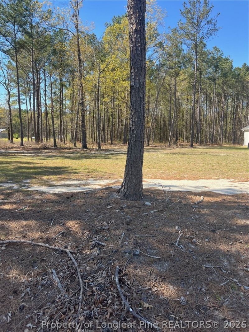 4401 E Huckleberry Drive, Eastover, NC 28312 Main Photo