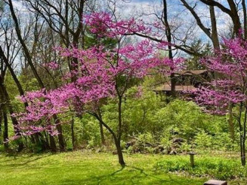 2361 Wilmington Road, Lebanon, OH 45036 Photo 53