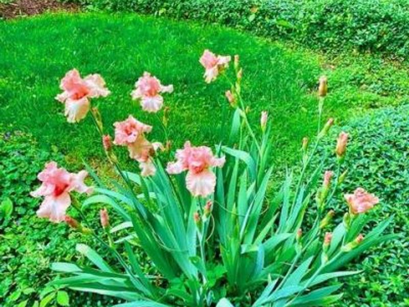 2361 Wilmington Road, Lebanon, OH 45036 Photo 55