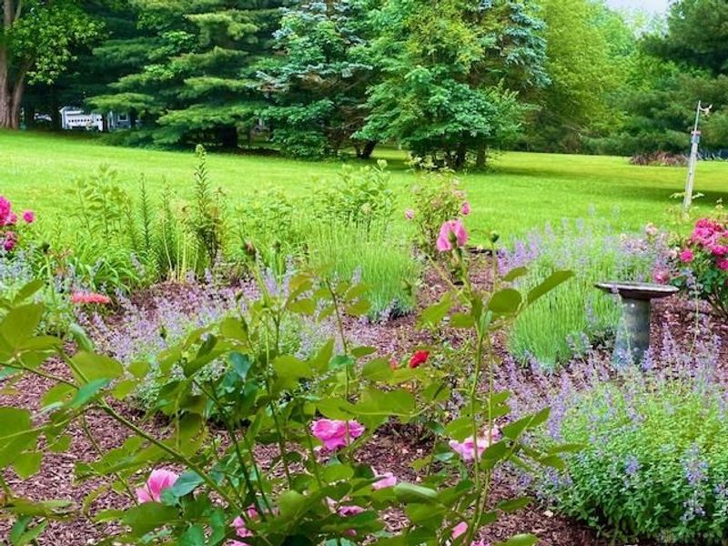 2361 Wilmington Road, Lebanon, OH 45036 Photo 56