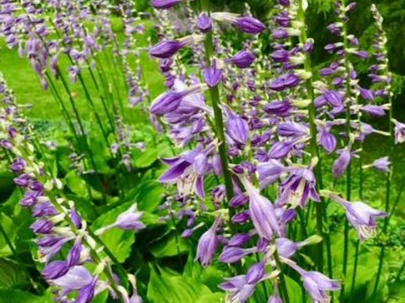 2361 Wilmington Road, Lebanon, OH 45036 Photo 59