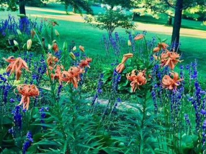 2361 Wilmington Road, Lebanon, OH 45036 Photo 60