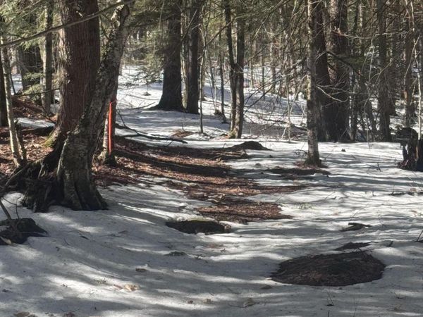 0 Lakeside Drive, Windham, ME 04062