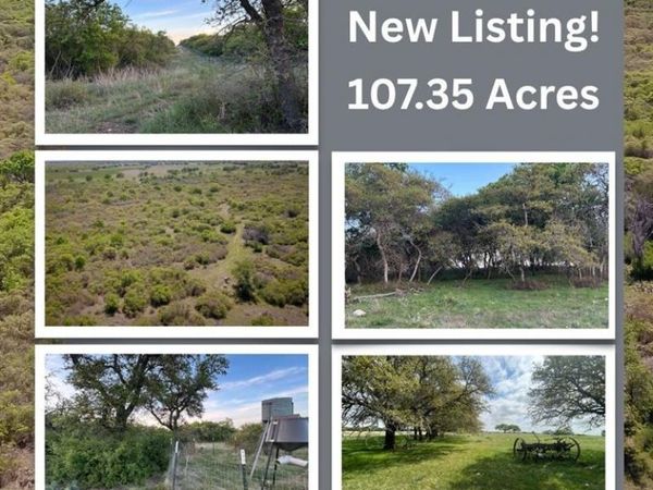198 County Road 259 , Goldthwaite, TX 76844