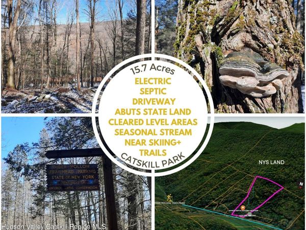 Tbd Rider Hollow Road, Hardenburgh, NY 12406