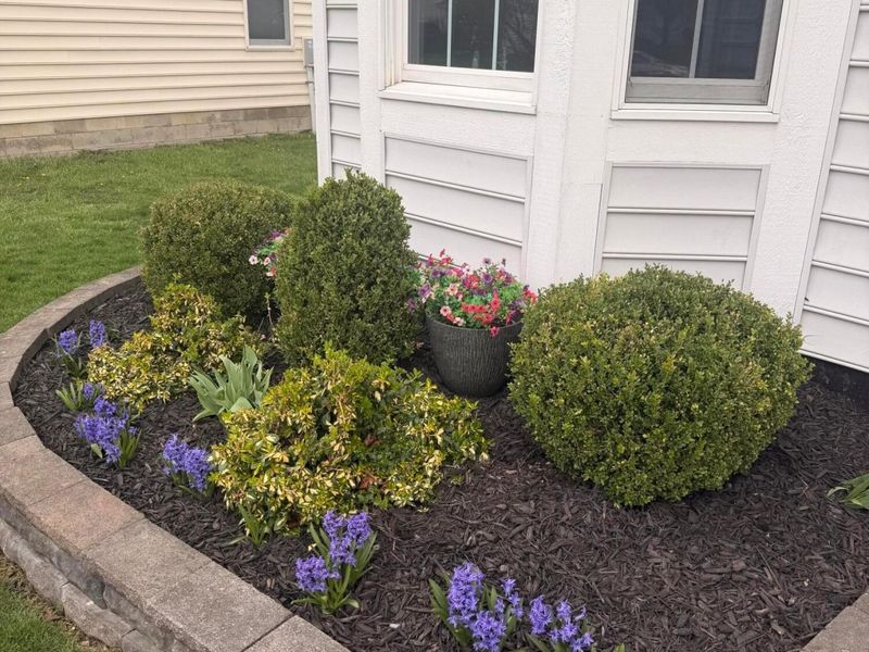 9360 Magnolia Way, Orient, OH 43146 Photo 5