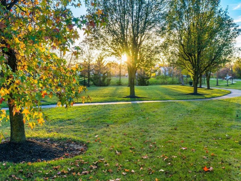 9360 Magnolia Way, Orient, OH 43146 Photo 67