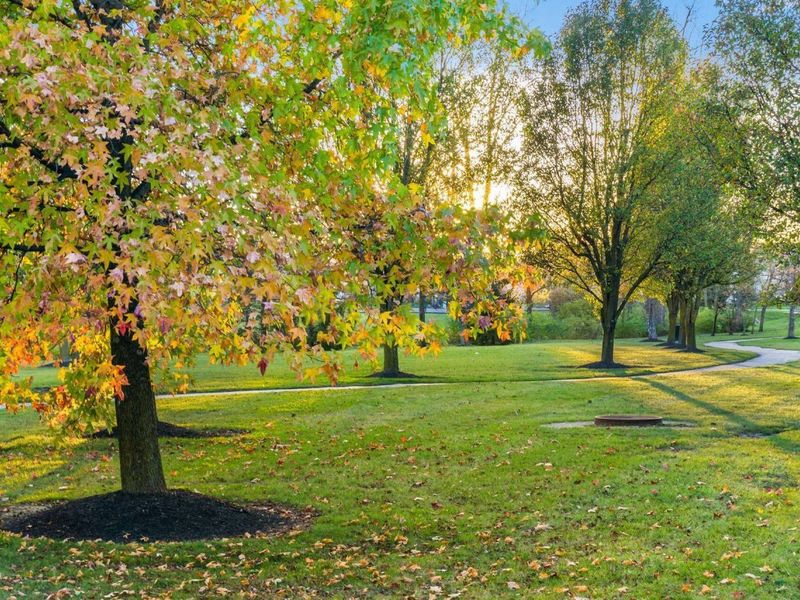 9360 Magnolia Way, Orient, OH 43146 Photo 69