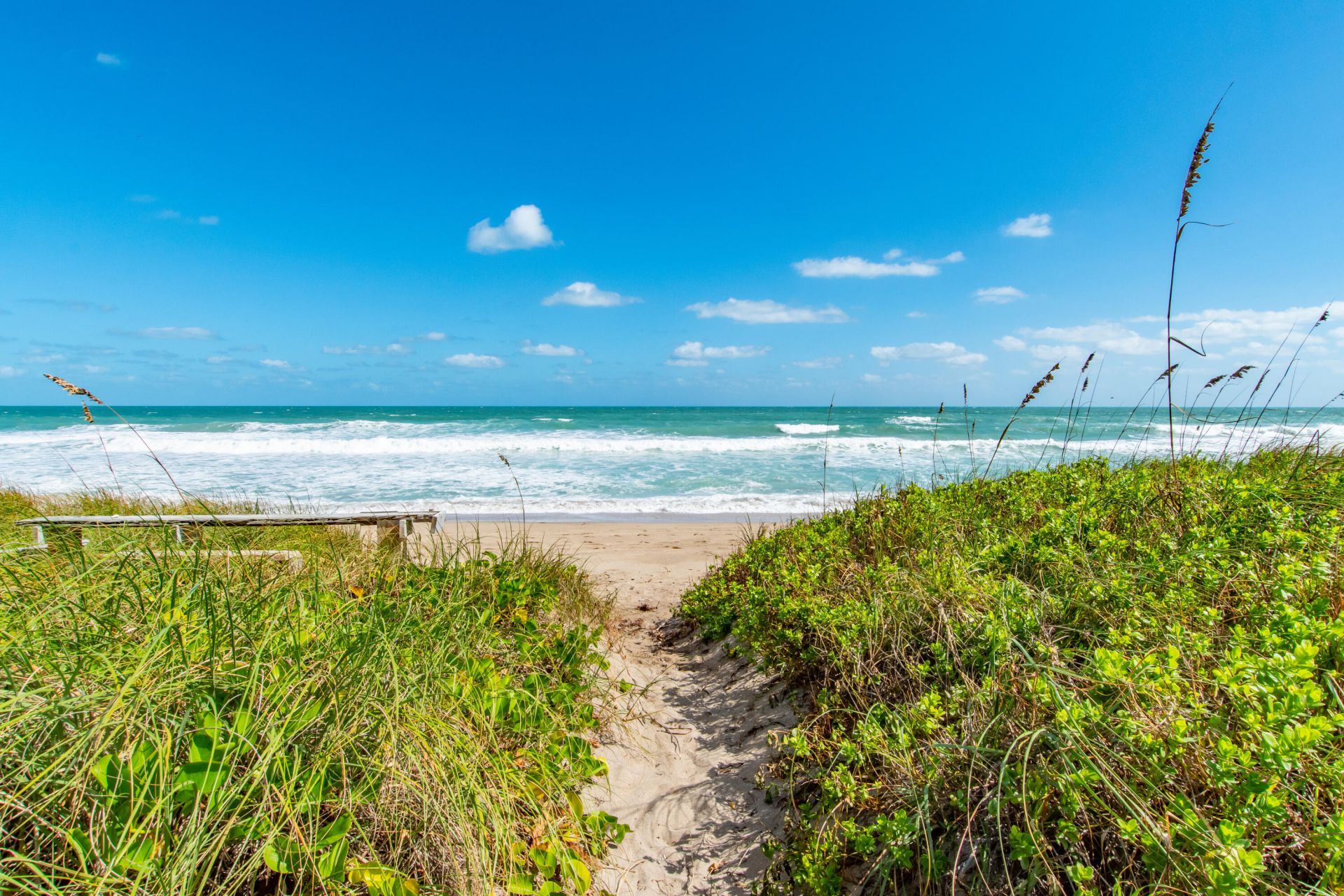 4440 NE Sandpebble Trace, Unit 104, Stuart, FL 34996 Photo