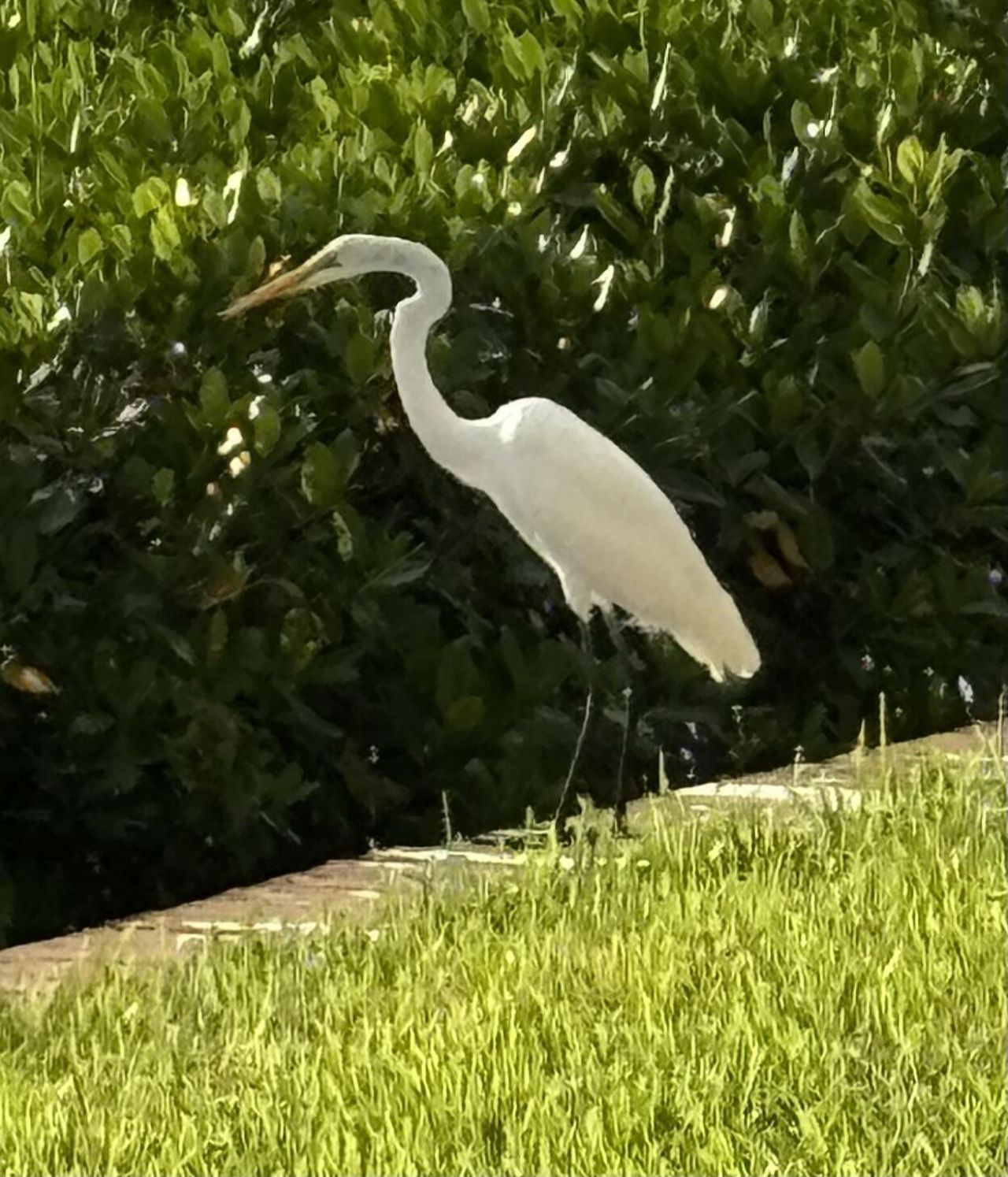 4440 NE Sandpebble Trace, Unit 104, Stuart, FL 34996 Photo