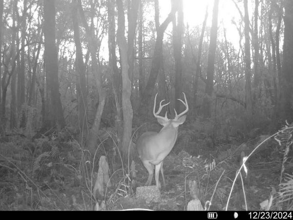 SW WIRE RD, Lee, FL 32340