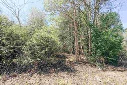 Tbd Judsons Meadow Phase Ll photo 4