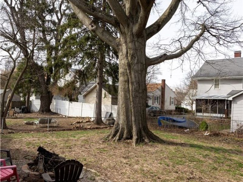 1929 36th Street NW, Canton, OH 44709 Photo 7