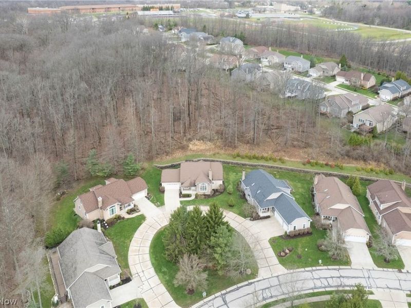 8096 Long Forest Drive, Brecksville, OH 44141 Photo 5