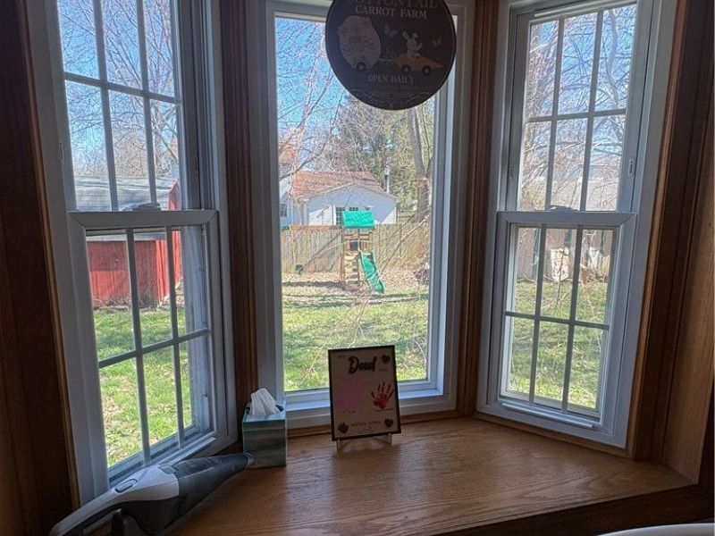 4191 Claridge Drive, Youngstown, OH 44511 Photo 10