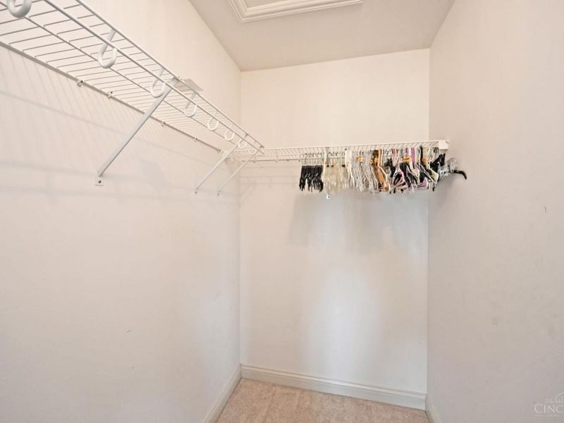 6323 Tarton Fields Lane, Mason, OH 45040 Photo 49