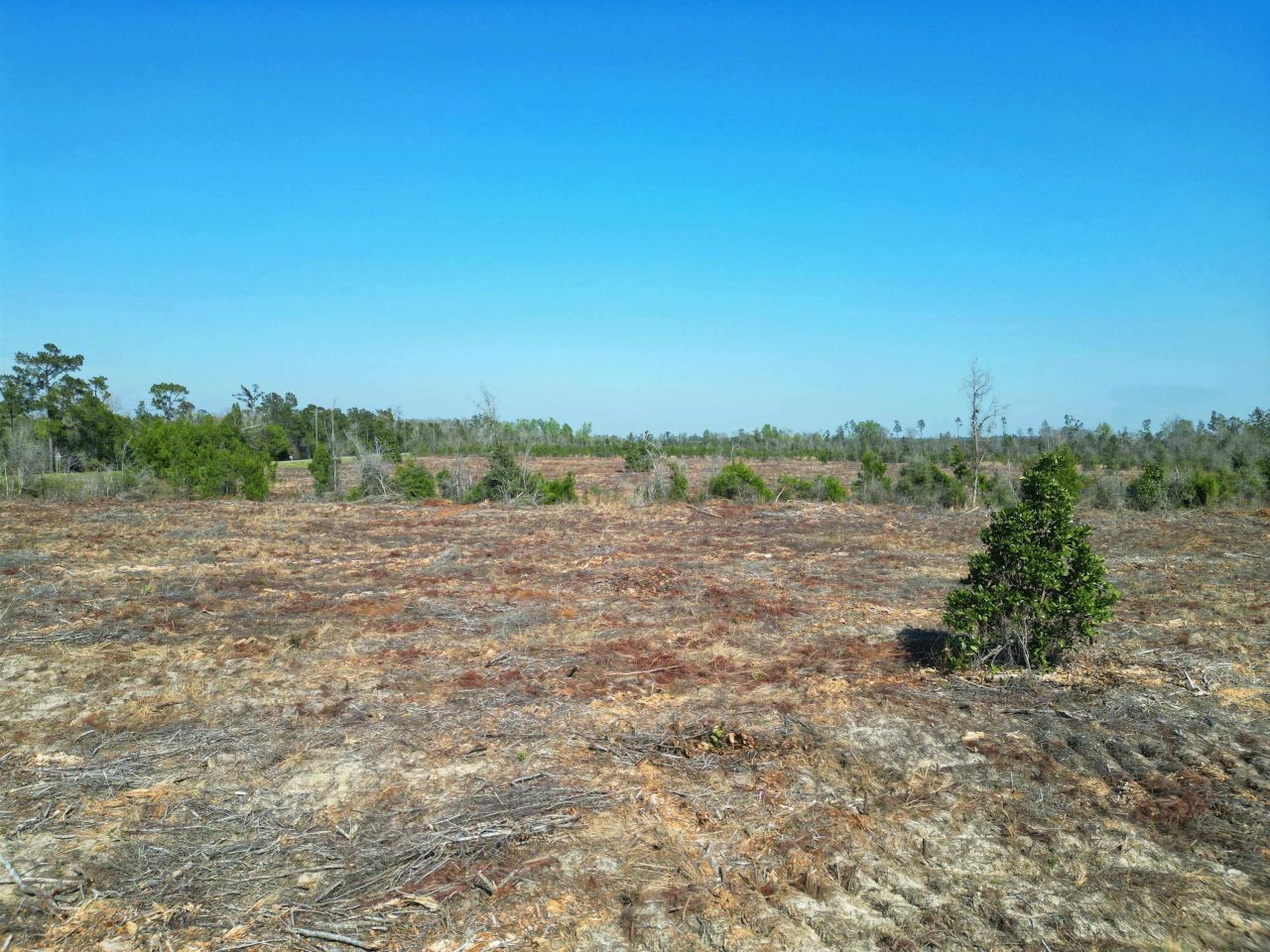 Tbd, Lot #2 SW County Road 275, Blountstown, FL 32424 Photo