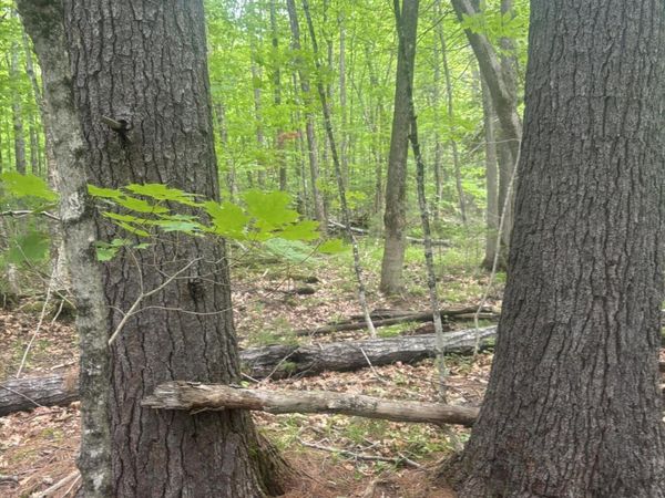 0000 Stream Road , Moscow, ME 04920