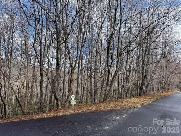 9999 Rainbow Falls Trail, Black Mountain, NC 28711