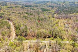 1249 Nick Watts Road  photo 4