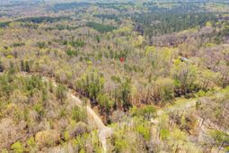 1249 Nick Watts Road  photo 4