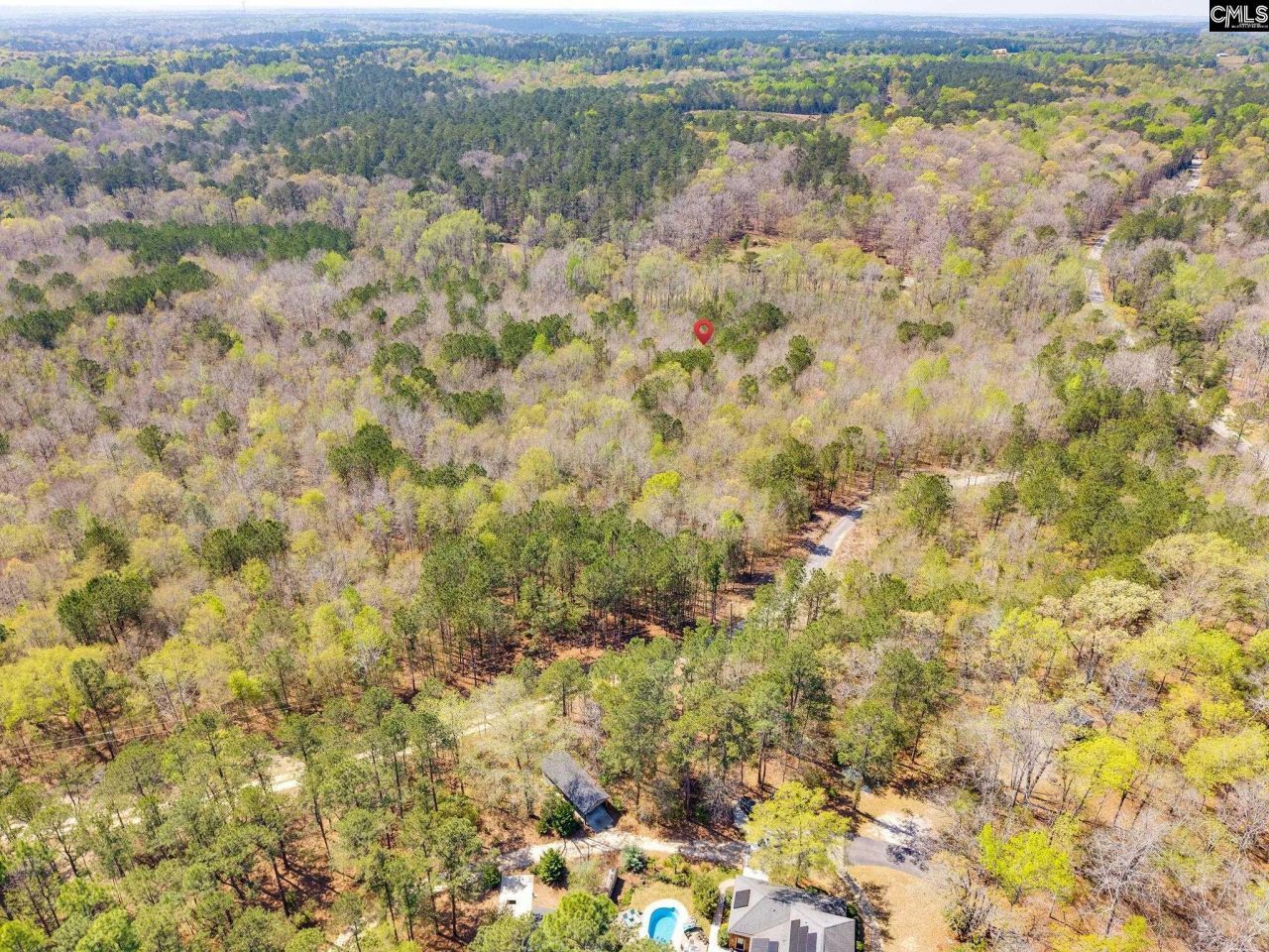 1249 Nick Watts Road  Photo 4