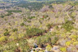 1249 Nick Watts Road  photo 4